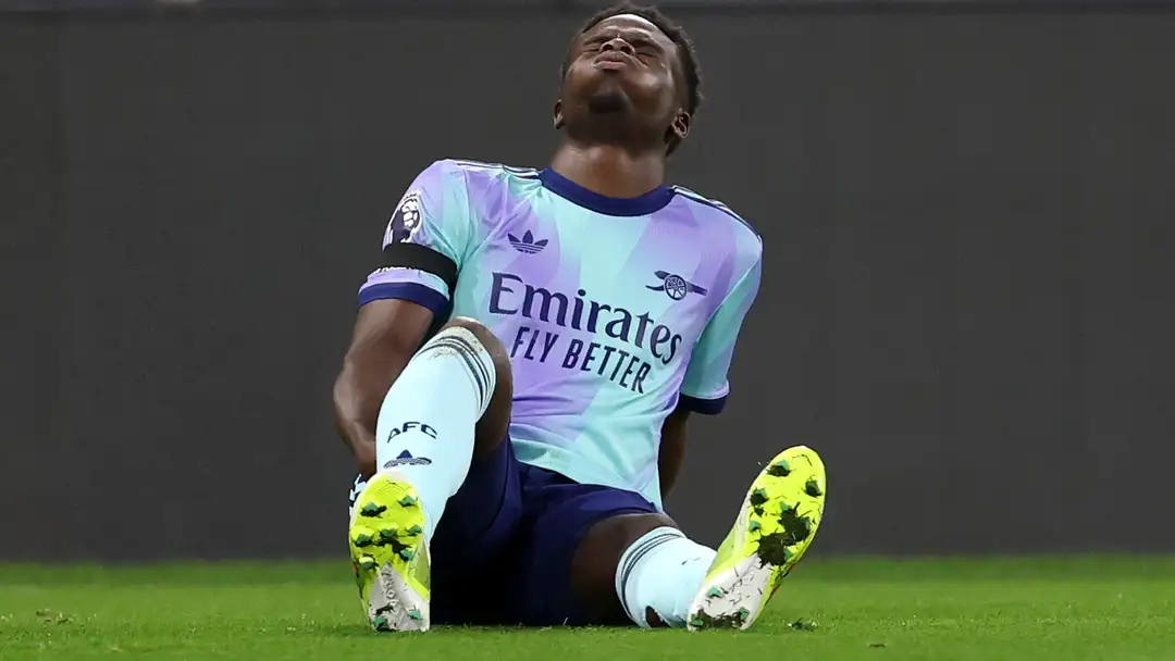 小波特对节 小波特对节