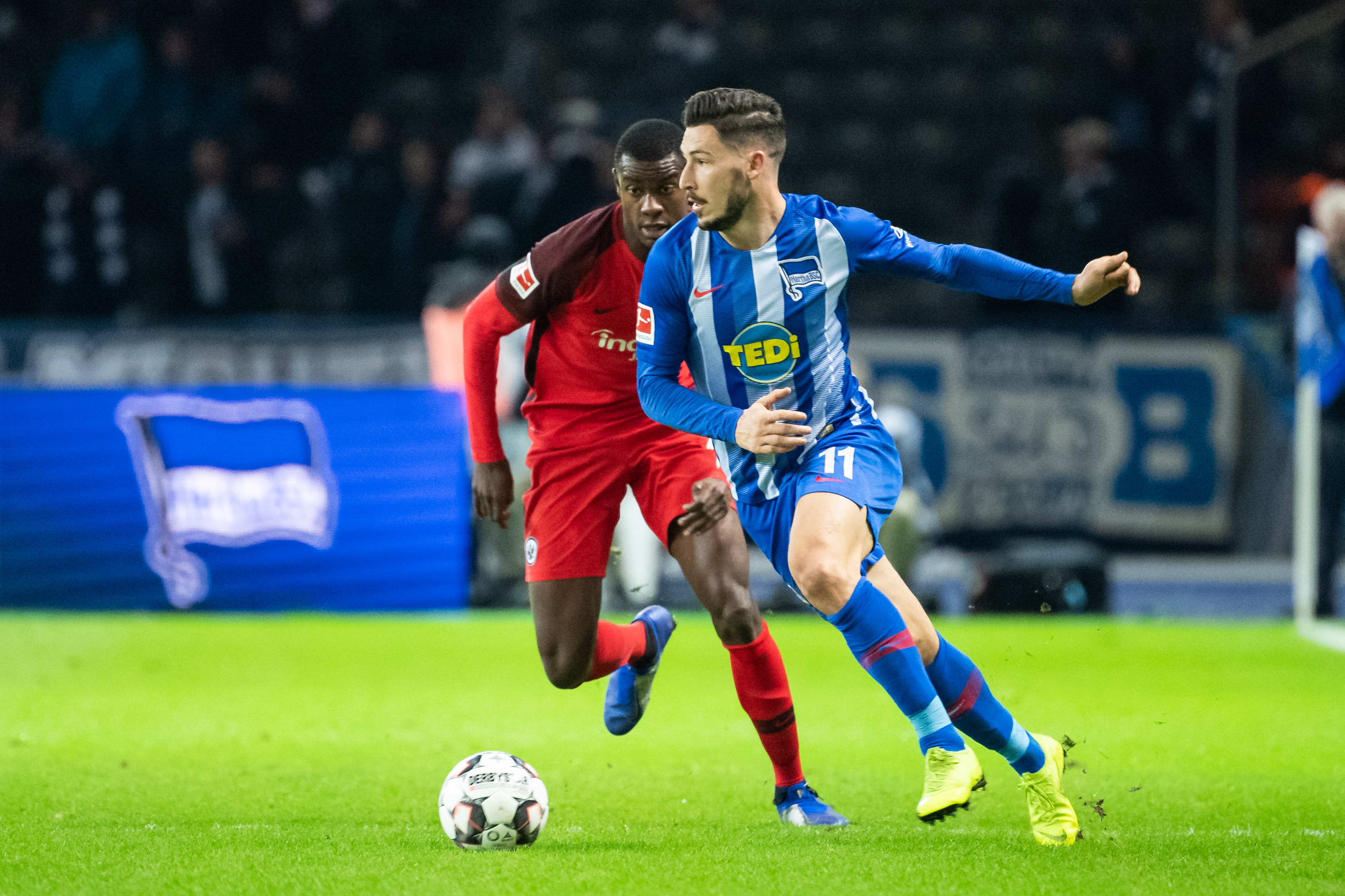 不仅吸引了 不仅吸引了